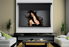 Stewart_luxus_model_a Stewart Filmscreen Projector Screen